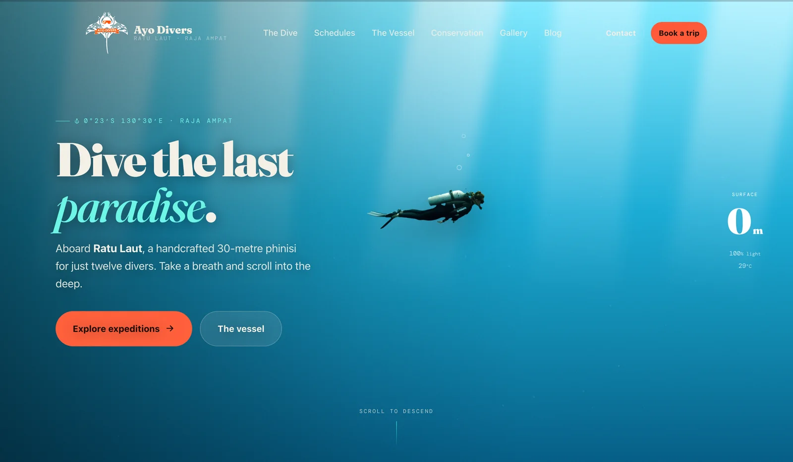 Ayo Divers homepage: Dive the last paradise, with a diver in open blue water and a depth gauge reading 0 m.